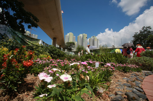 位於彩虹，佔地7,000平方呎的市區園藝治療花園－「心靈綠洲」正式開放。